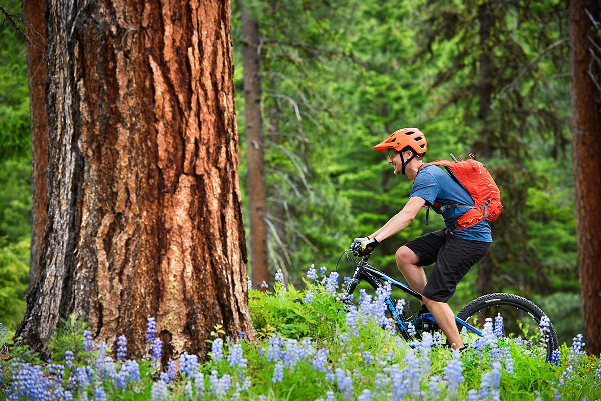 Best boutique discount mountain bike brands